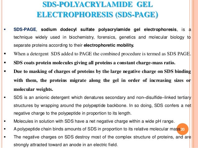 Zone Electrophoresis. Chromatographic and Electrophoretic Techniques